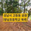 왕남초등학교 | 성남시 고등동 공원 - 왕남초등학교 북측 공원