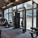 던짐(DONE GYM) 이미지