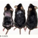 재생한의원 이미지