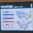 소노펠리체 델피노 이미지