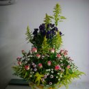 대양물류 이미지