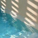 스테이 오씨오 이미지