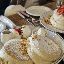일본 후쿠오카 당일 여행] 카페 델 솔 Cafe del SOL 후쿠오카 맛집 수풀레 케이크 후기, 예쁜 디저트 추천!
