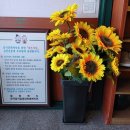 별미올갱이 이미지