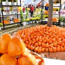 평사리공원3 이미지