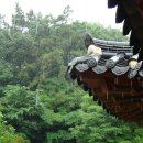 동백산방 이미지