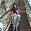 내서읍141 이미지