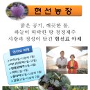 현선농장 이미지