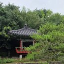 0902(수) 무상스님과 오찬 이미지