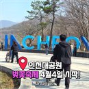 가족나들이 | 📌 인천대공원｜ 벚꽃축제 4월4일 시작! 가족 나들이 후기