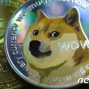 코인놀이터 이미지