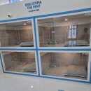 도그유토피아 더펜트 이미지