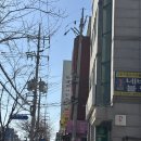 pet273어1404 | 건대입구역 필름카메라 현상 스캔 가능한곳, 팔레트사진관 첫 스캔 후기