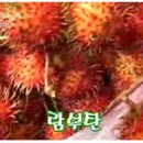 (주)두리안서비스 이미지
