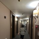 모헤닉 호텔 서울 명동 이미지