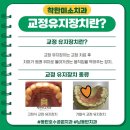 착한미소치과 이미지