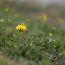 이행 행정사 사무소 이미지