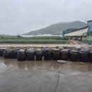 중열농장 이미지