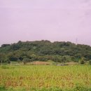 산성