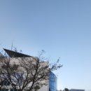 옥야고등학교 이미지