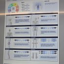 바른몸운동재활센터 | [화성체형관리] 김창범바른몸운동센터 첫 방문 후기 :: 무릎 재활운동 솔직후기