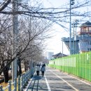 영강체육공원 테니스장 이미지