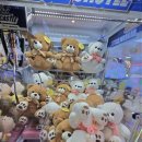 헌터독도담점 이미지