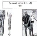 (nerve test)Femoral nerve test 이미지