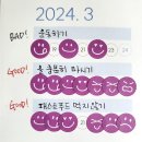 안민희망둥지지역아동센터 | 2024년 3월 데일리 리포트 다이어리 결산