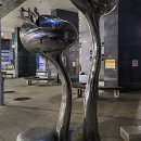 나비환상곡 이미지