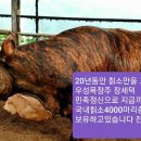 우성목장 이미지