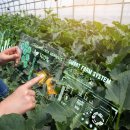 팜스마트 이미지