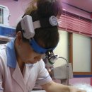 스머프동물병원 이미지