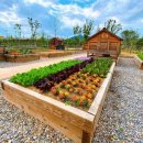 아이소리지역아동센터 이미지