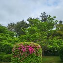 세화환승정류장 이미지