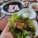 삼성한우농장 이미지