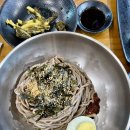 세종시 조치원 점심 맛집 재방문 모과나무골막국수이야기 내돈내산