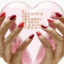 세상사는이야기