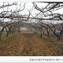 임실치즈골 은주네농장 이미지