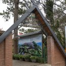 죽림농장 이미지