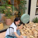 호텔 마실(HOTEL MASIL) | 후쿠오카 호텔 추천ㅣ8월 오픈 신상 하카타역 감성 숙소 hotel miino