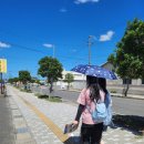 향토관 | [공지] 돗토리현 코난마을 후기 *유라역 주의사항 확인필수!! (아오야마 고쇼 향토관, 카페 포와로...