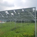 광은농장 이미지