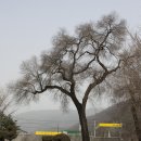 마차초등학교 이미지