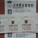 트레벨동물병원 이미지