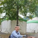 인천대공원 야영장 이미지