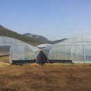 입석농장 이미지