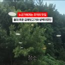 범서읍 천상리 평천길 전구간 | [울산맛집] 무거동 울대 후문에서 유명했던 울산갈매기살 맛집이 천상에 있네