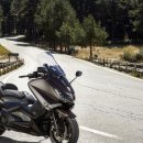 BRONZE(브론즈) 이미지