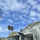 제주 장미여관 | [제주도] 서귀포게스트하우스 : 서귀포민박 :) "제주 장미여관"